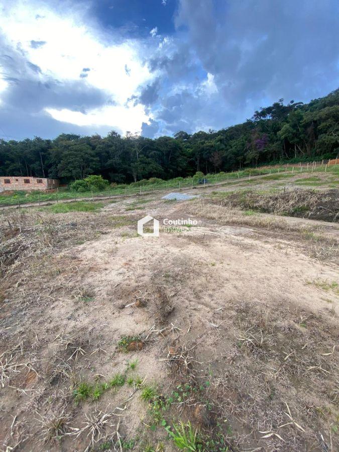 WhatsApp Image 2026-03-31 at 17.26.58.jpeg